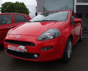 Fiat Punto Gebrauchtwagen