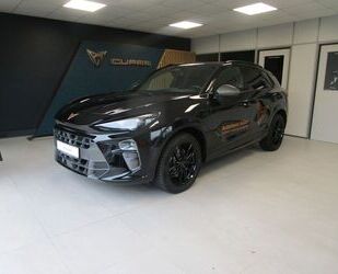 Cupra Terramar Gebrauchtwagen