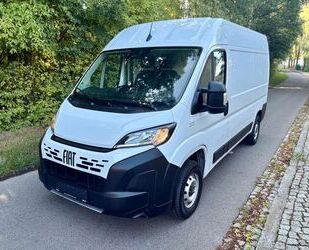 Fiat Ducato Gebrauchtwagen