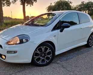 Fiat Punto Gebrauchtwagen