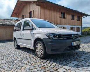 VW Caddy Gebrauchtwagen