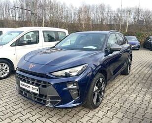 Cupra Terramar Gebrauchtwagen