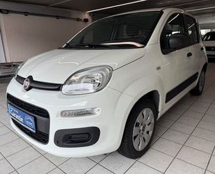 Fiat New Panda Gebrauchtwagen