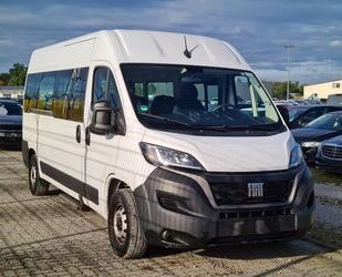 Fiat Ducato Gebrauchtwagen