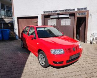 VW Polo Gebrauchtwagen