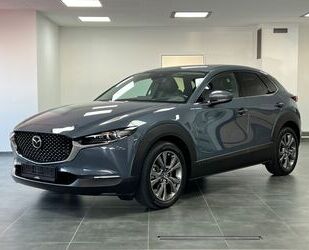 Mazda CX-30 Gebrauchtwagen