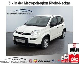 Fiat New Panda Gebrauchtwagen
