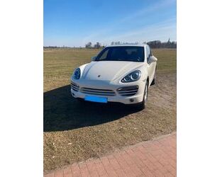 Porsche Cayenne Gebrauchtwagen