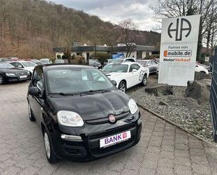 Fiat Panda Gebrauchtwagen