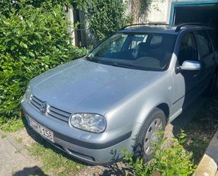 VW Golf Gebrauchtwagen