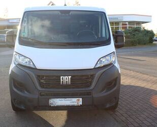 Fiat Ducato Gebrauchtwagen
