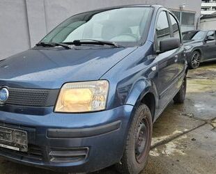 Fiat Panda Gebrauchtwagen