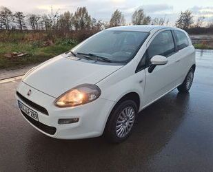 Fiat Punto Gebrauchtwagen