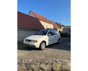 VW Polo Gebrauchtwagen