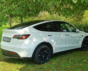 Tesla Model Y Gebrauchtwagen