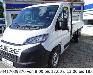 Fiat Ducato Gebrauchtwagen