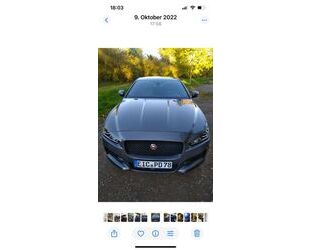 Jaguar XE Gebrauchtwagen