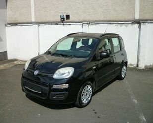 Fiat Panda Gebrauchtwagen