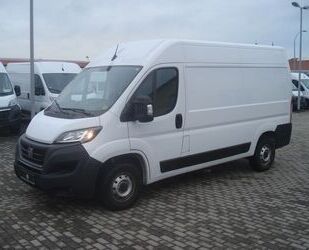 Fiat Ducato Gebrauchtwagen