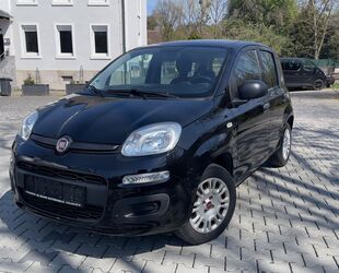 Fiat Panda Gebrauchtwagen