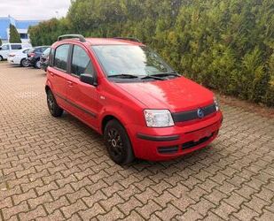 Fiat Panda Gebrauchtwagen