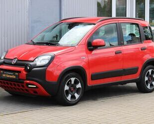 Fiat Panda Gebrauchtwagen