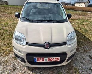 Fiat Panda Gebrauchtwagen