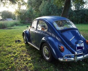 VW Käfer Gebrauchtwagen