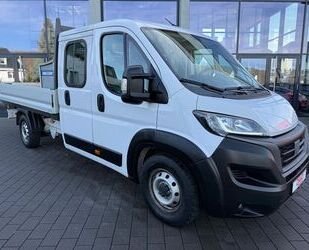 Fiat Ducato Gebrauchtwagen