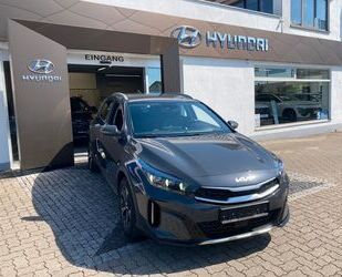 Kia XCeed Gebrauchtwagen