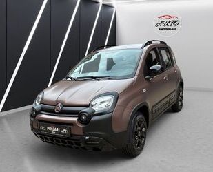 Fiat Panda Gebrauchtwagen