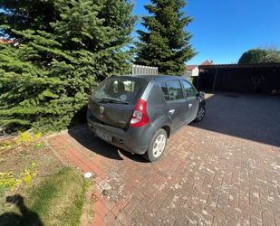 Dacia Sandero Gebrauchtwagen