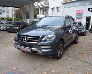Mercedes-Benz ML 250 Gebrauchtwagen