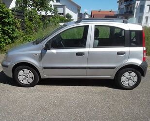 Fiat Panda Gebrauchtwagen