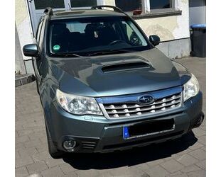 Subaru Forester Gebrauchtwagen