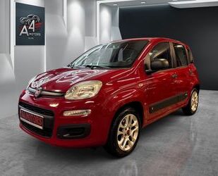Fiat New Panda Gebrauchtwagen