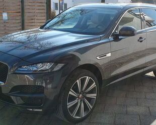 Jaguar F-Pace Gebrauchtwagen