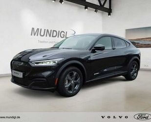 Ford Mustang Mach-E Gebrauchtwagen