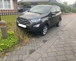 Ford EcoSport Gebrauchtwagen