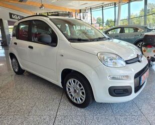 Fiat Panda Gebrauchtwagen