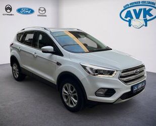 Ford Kuga Gebrauchtwagen