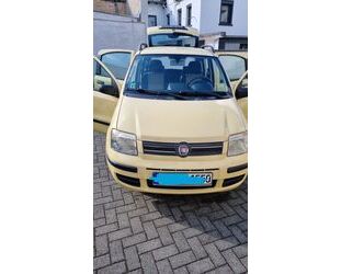Fiat Panda Gebrauchtwagen