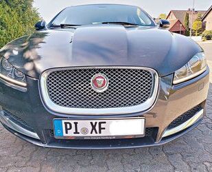 Jaguar XF Gebrauchtwagen