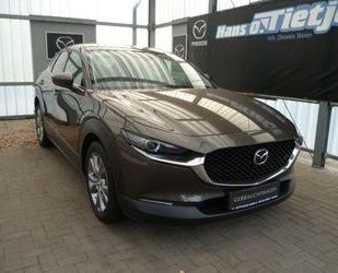 Mazda CX-30 Gebrauchtwagen