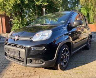 Fiat Panda Gebrauchtwagen