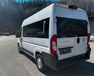 Fiat Ducato Gebrauchtwagen