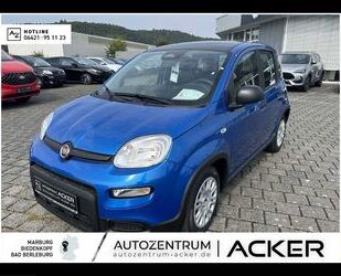 Fiat Panda Gebrauchtwagen