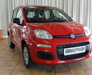 Fiat Panda Gebrauchtwagen