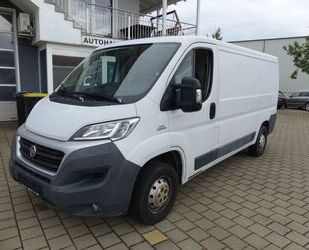 Fiat Ducato Gebrauchtwagen