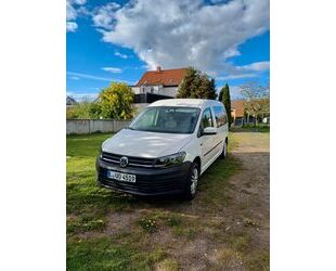 VW Caddy Maxi Gebrauchtwagen